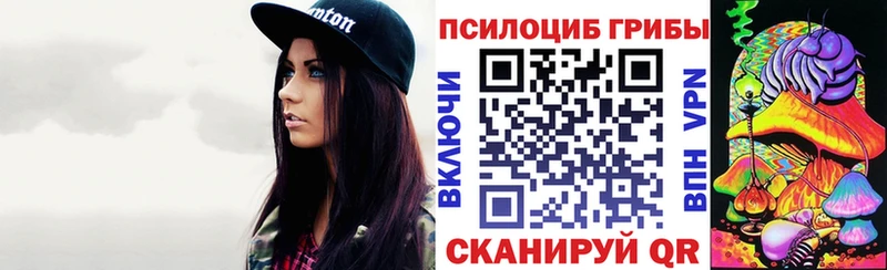 Псилоцибиновые грибы Psilocybine cubensis сколько стоит Боровичи
